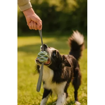 Bola de brincar para cães ZOLUX TPR Outdoor, azul