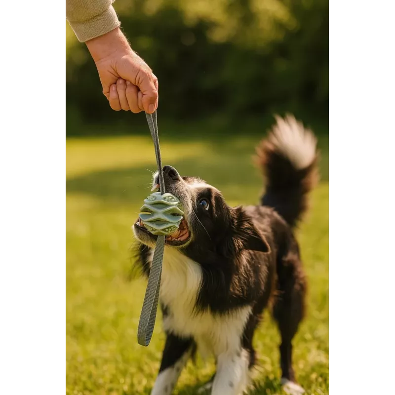Bola de brincar para cães ZOLUX TPR Outdoor, azul