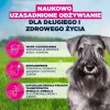 Comida seca para cães EUKANUBA Mature Small Chicken 3 kg — para cães adultos de raças pequenas