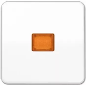 JUNG Tecla com janela luminosa aws para interruptor/botão CD 590 KOBF WW