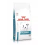 Comida seca para cães Royal Canin Anallergenic Small 1,5 kg — fórmula hipoalergénica para cães adultos de raças pequenas