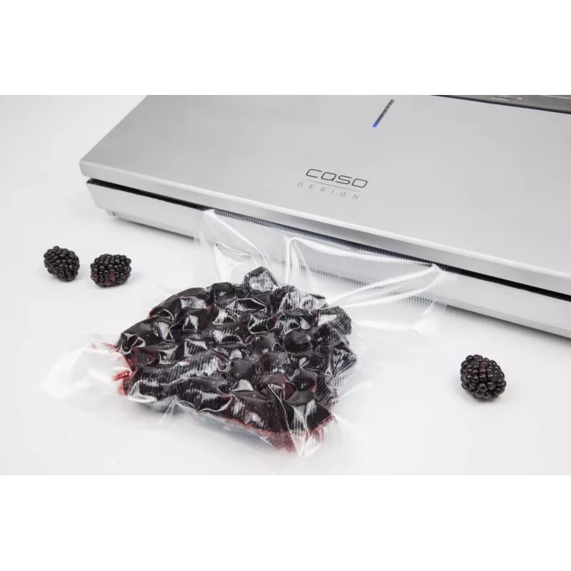Caso | Máquina de vácuo de bar | GourmetVAC 480 | Potência 160 W | Prateado