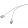 Cabo USB Renkforce RF-6437914 branco