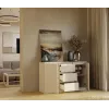 Cómoda com 2 portas e 3 gavetas, cor caxemira