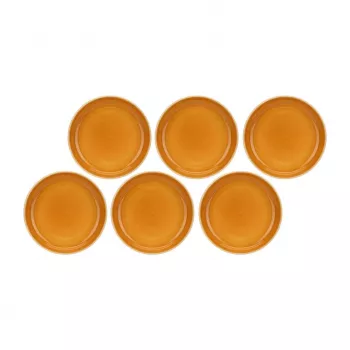 ROSE&TULIPANI conjunto de 6 pratos de sopa laranja