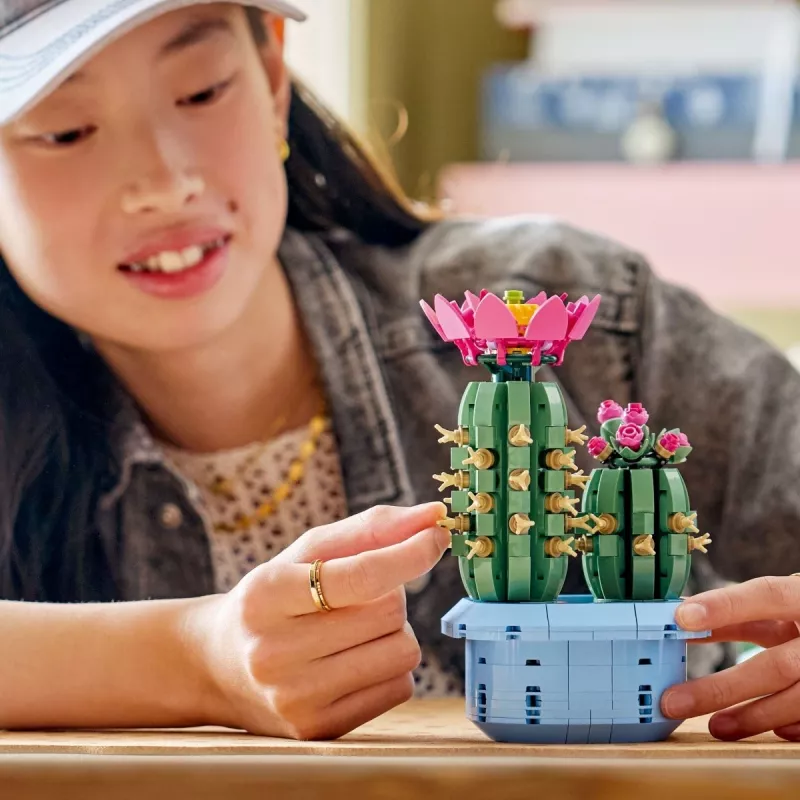 LEGO BOTANICALS 11509 Cato em Flor