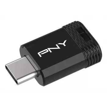 Pen USB PNY Elite-X 256 GB USB Type-C 3.2 Gen 1 (leitura 200 MB/s, escrita 100 MB/s) preto