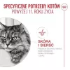 Comida húmida para gatos Royal Canin FHN Ageing 11+ Gravy 12×85 g – comida húmida completa sénior em tigelas