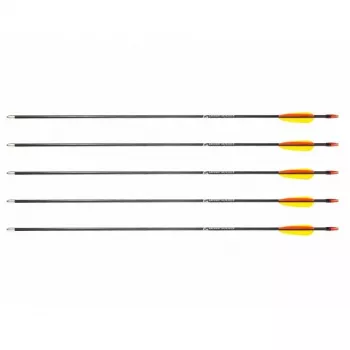 Conjunto de flechas POE LANG D-055-B3 — flechas de fibra de vidro, 28 polegadas (710 mm), pretas, conjunto de 5