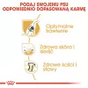 Ração seca para cães Royal Canin German Shepherd Adult, 11 kg — raça grande, aves, 24 % proteína, 19 % gordura