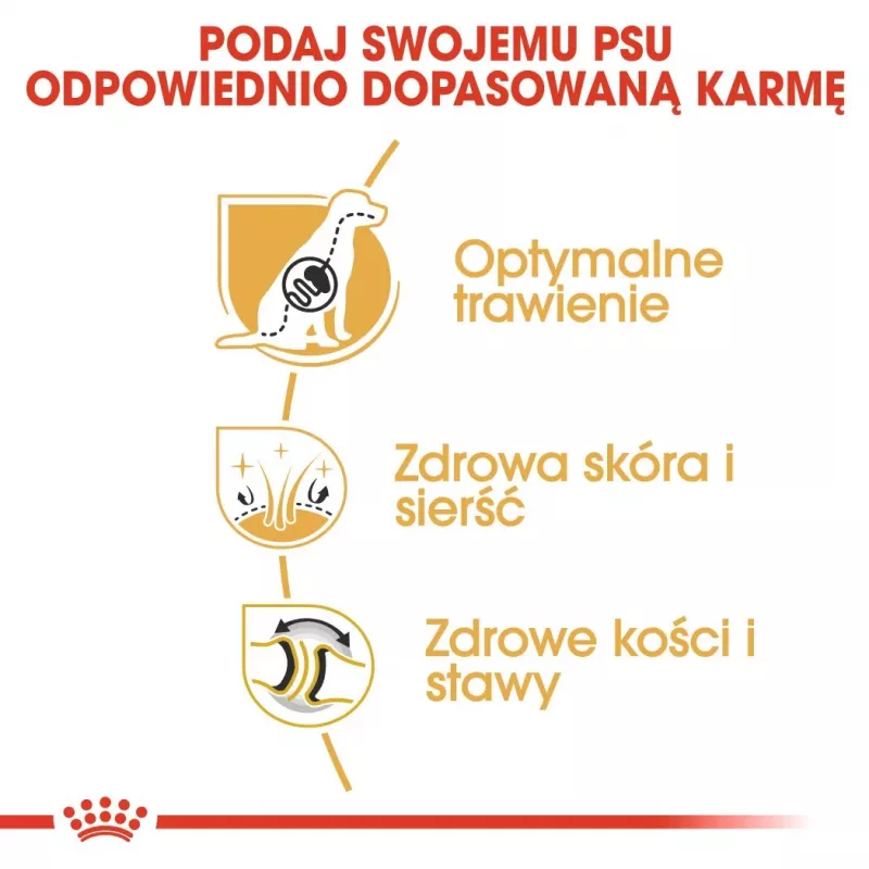 Ração seca para cães Royal Canin German Shepherd Adult, 11 kg — raça grande, aves, 24 % proteína, 19 % gordura