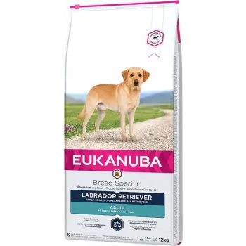 EUKANUBA Adult Labrador Retriever Alimento seco 12 kg — frango e peru, 23% proteína, 13% gordura