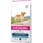 Eukanuba Labrador Retriever Adult comida seca para cães, 12 kg