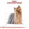 ROYAL CANIN BHN Yorkshire Terrier Adult Ração seca para cães - 7,5 kg
