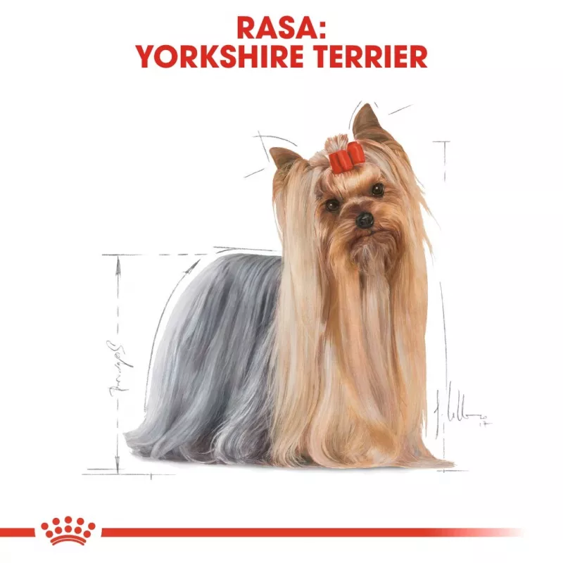 ROYAL CANIN BHN Yorkshire Terrier Adult Ração seca para cães - 7,5 kg