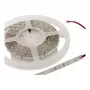Synergy 21 Fita Flex LED 3528 - 60 vermelho DC12V 24W IP20