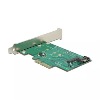 Placa de interface DeLOCK 89381 interna M.2 SATA