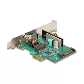 DeLOCK 90760 Placa de rede interna 2500 Mbit/s PCI Express com fios