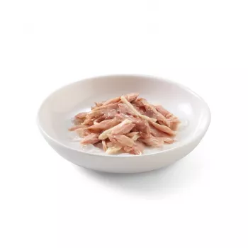 SCHESIR Atum com Frango em Gelatina - Alimento húmido para gatos - 85 g