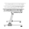 Secretária infantil ergonómica de altura ajustável Ergo Office, cinzento, máx. 100 kg, ER-417 2cz