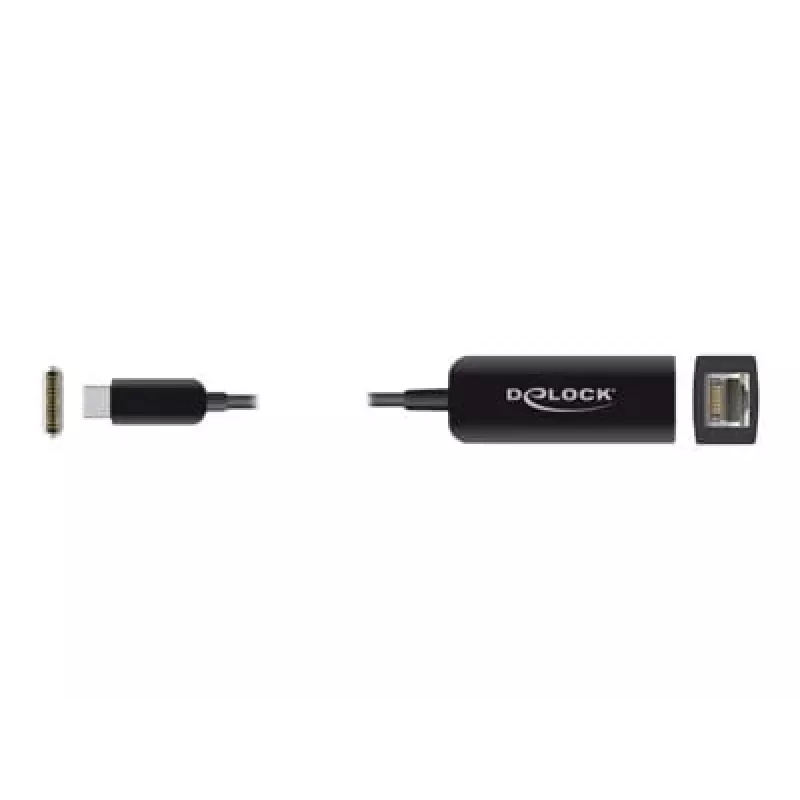Adaptador USB Type-C macho para LAN 2,5 Gigabit compacto DeLOCK 66645