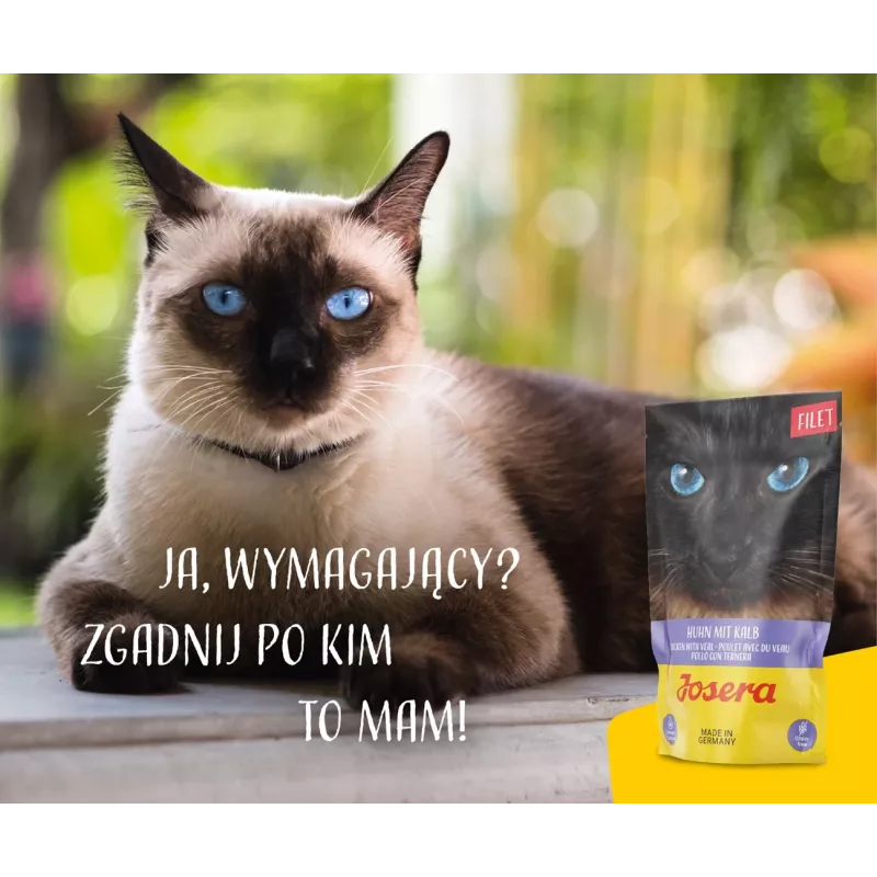 JOSERA Filet de frango com vitela - alimento húmido para gatos - 70 g