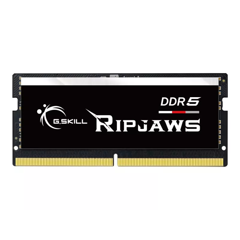 Módulo de memória G.Skill Ripjaws F5-4800S4039A16GX1-RS 16 GB 1 x 16 GB DDR5 4800 MHz