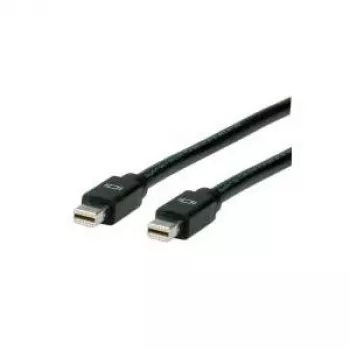 Cabo DisplayPort ROLINE, Mini DP ST - Mini DP ST 3,0 m (11.04.5641)