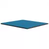 Thermal Grizzly Minus Pad Advance - 100 x 100 x 2,0 mm, 2 unidades