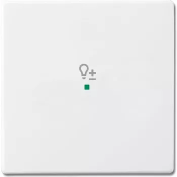 Busch-Jaeger 6220-0-0046 placa de cobertura para suporte e caixa de sensor branco (2CKA006220A0046)