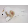 Cão de peluche deitado Madej 60 cm - Madej 243098