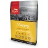 ORIJEN Puppy - comida seca para cães - 6 kg