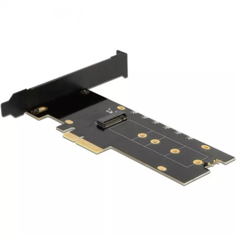 Placa de interface DeLOCK 89013 interna M.2 PCIe Low-Profile