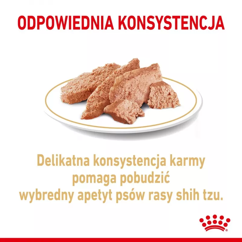 ROYAL CANIN Shih Tzu Adult comida húmida para cães patê 12x85 g