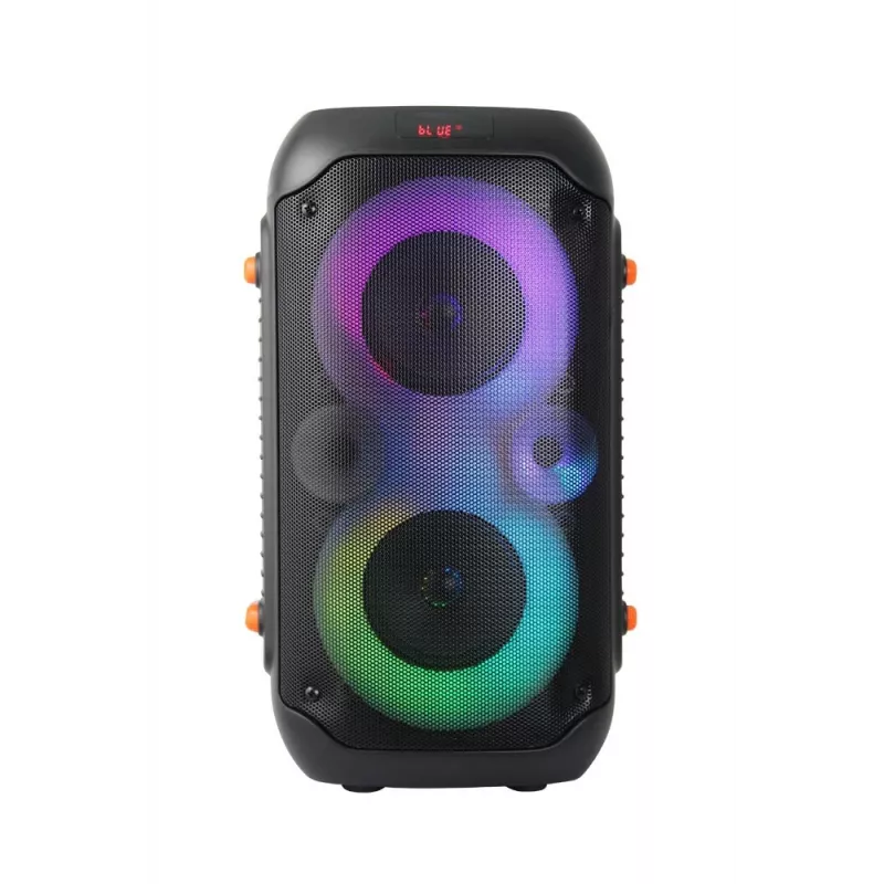Altifalante KARAOKE Esperanza EP156 BT FM LED RGB Preto 20W