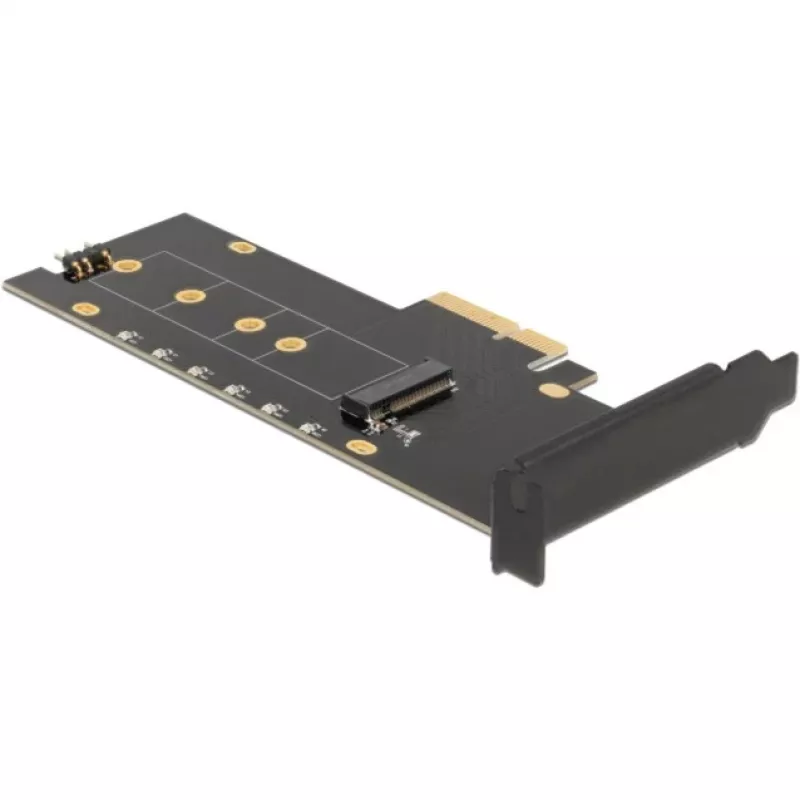 Placa de interface DeLOCK 89013 interna M.2 PCIe Low-Profile