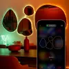 Twinkly Dots 60 RGB USB luzes inteligentes, 3 m, preto