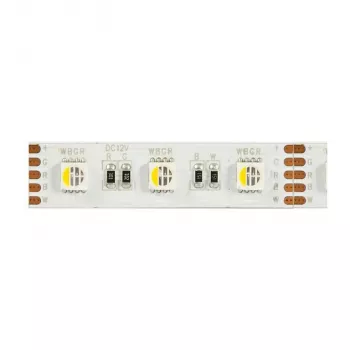 Synergy 21 Fita Flex LED 5050 - 60 RGB DC24V + RGB-W one chip KW IP68