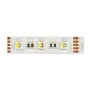 Synergy 21 Fita Flex LED 5050 - 60 RGB DC24V + RGB-W one chip KW IP68
