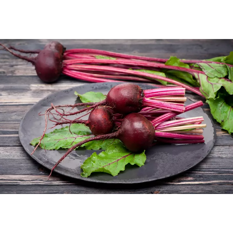 Sementes de hortícolas beterraba vermelha escura Toraf, pacote 20g