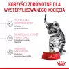 Royal Canin Kitten Sterilised alimento seco para gatos 3,5 kg aves