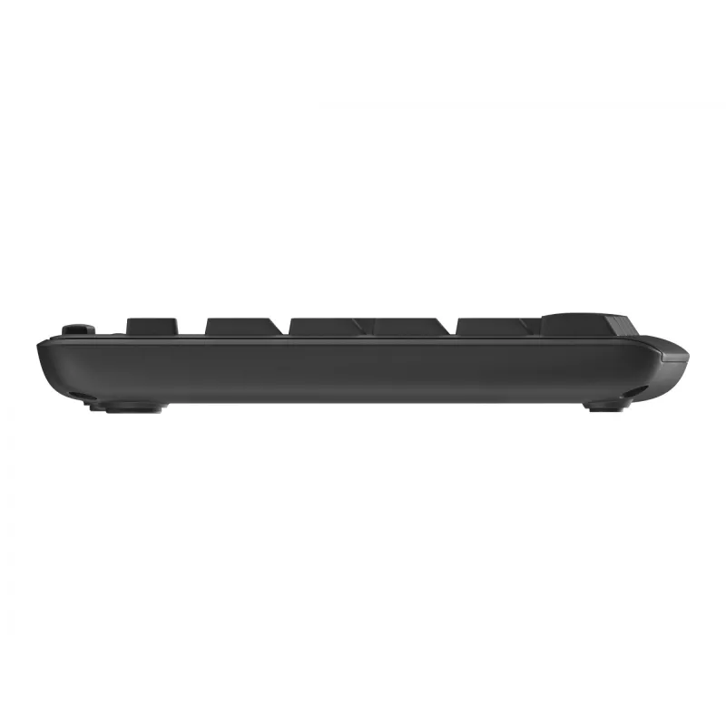 Conjunto sem fios LOGITECH MK295 Silent GRAPHITE