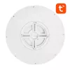 Lâmpada de teto inteligente 30cm WiFi/Bluetooth 16M RGBCW Gosund LB12 1920lm Tuya + comando.