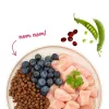 BOSCH Sanabelle Adult Chicken & Blueberries - Alimento Seco para Gatos - 2 kg