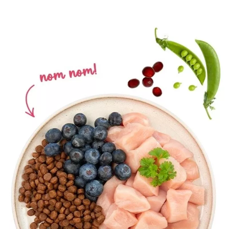BOSCH Sanabelle Adult Chicken & Blueberries - Alimento Seco para Gatos - 2 kg