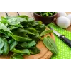 Sementes de hortícolas espinafre da Nova Zelândia Toraf, pacote 5g