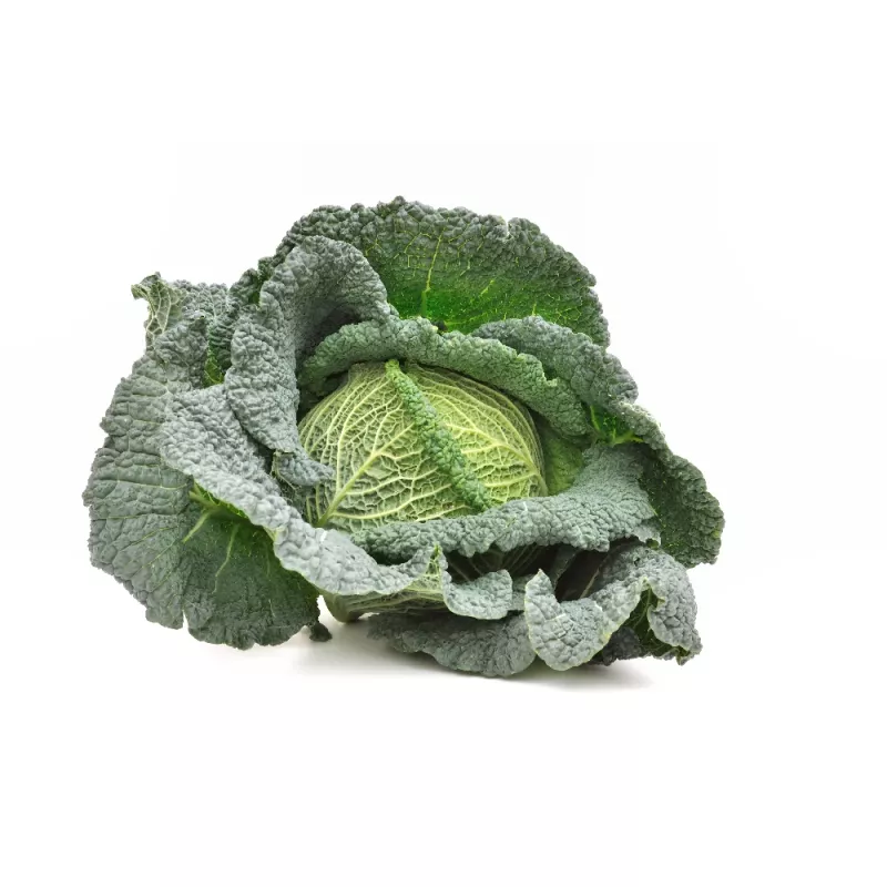 PNOS couve-de-saboia Langedijska sementes de hortícolas, 2 g