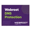 Webroot | DNS Protection com consola GSM | 2 anos | Quantidade de licenças 1-9 utilizadores