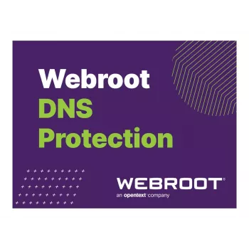Webroot | DNS Protection com consola GSM | 2 anos | Quantidade de licenças 1-9 utilizadores