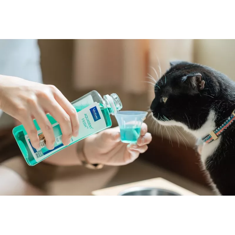 Solução de higiene oral VIRBAC VET AQUADENT 250 ml para animais de estimação